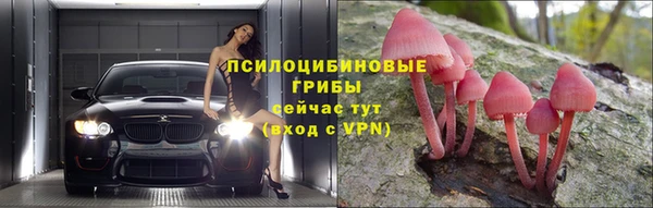 каннабис Дмитров