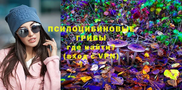каннабис Дмитров