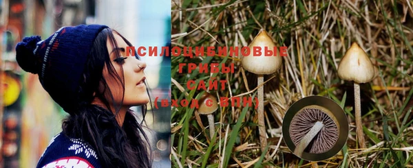 альфа пвп VHQ Дмитриев