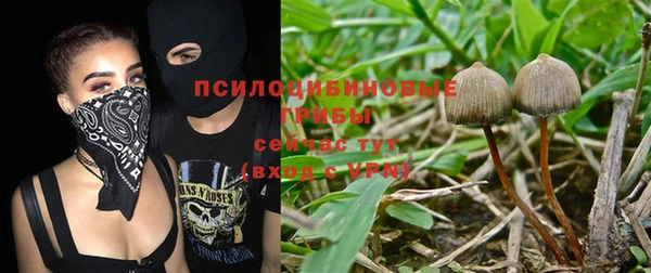 apvp Дмитровск