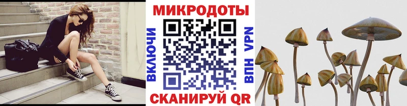 Галлюциногенные грибы мухоморы  Купить где  Плёс 